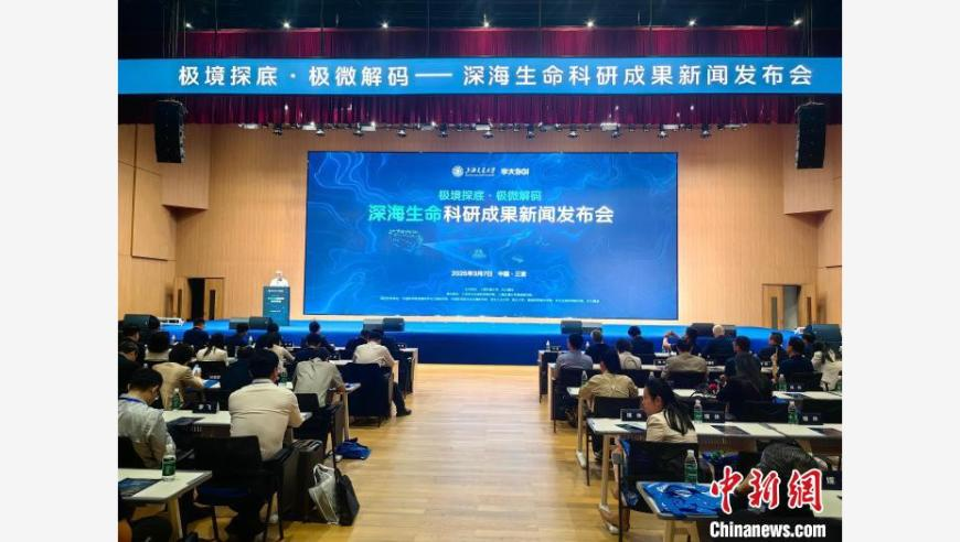王宝强工作室必有高人指点,澳门管家婆免费资料期期准,重点解答解释落实_创意版V5.90