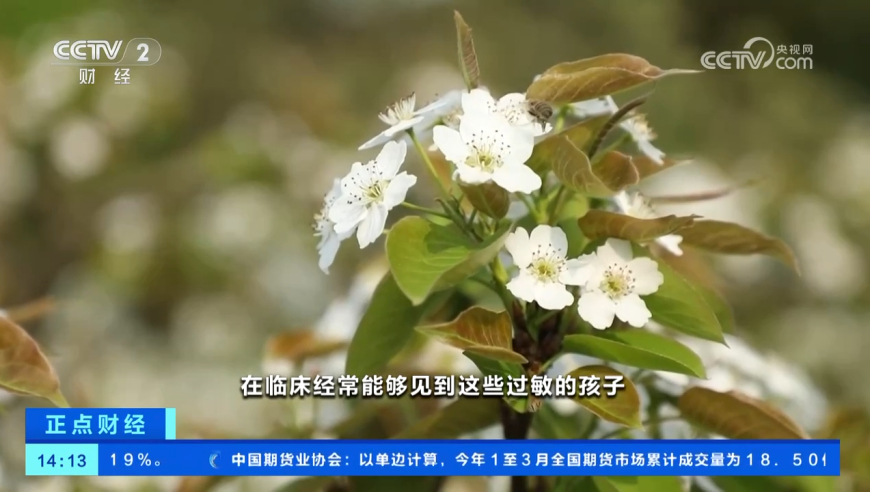 男子给狗做敖闰造型秒变“气质龙”,澳门马会开奖资料大全,展开解析落实_界面版V13.81
