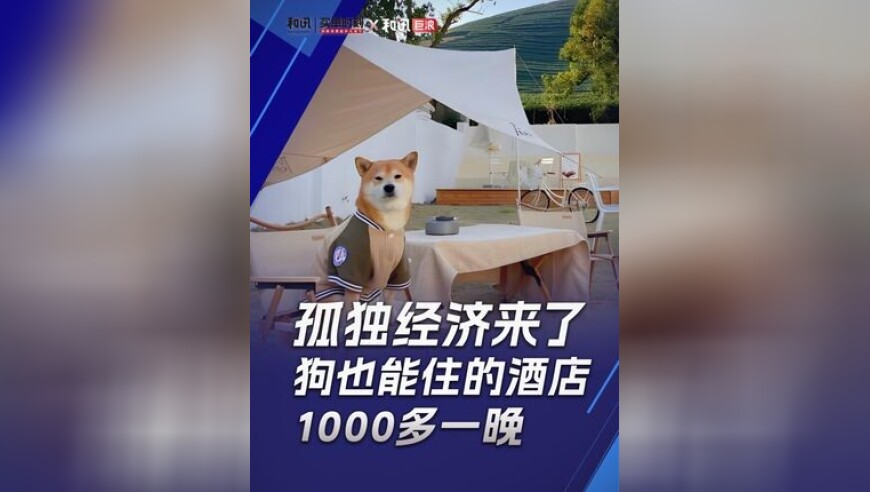 同福水心水资料开奖论坛,饺子凭什么成首个80后百亿票房导演,多元化方案执行策略_完整版V13.62